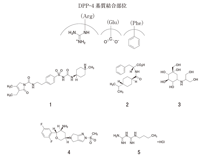 オマリグリプチンの構造 dpp4の基質結合部位との相互作用 106回薬剤師国家試験問211